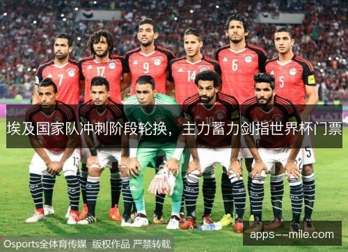 埃及国家队冲刺阶段轮换，主力蓄力剑指世界杯门票