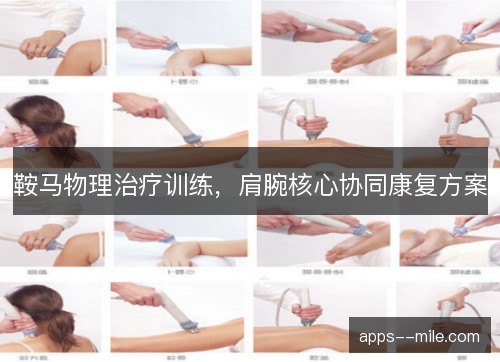 鞍马物理治疗训练，肩腕核心协同康复方案